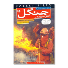 تصویر  آتش سوزی در جنگل