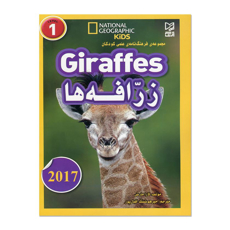 تصویر  زرافه ها  ( Giraffes )